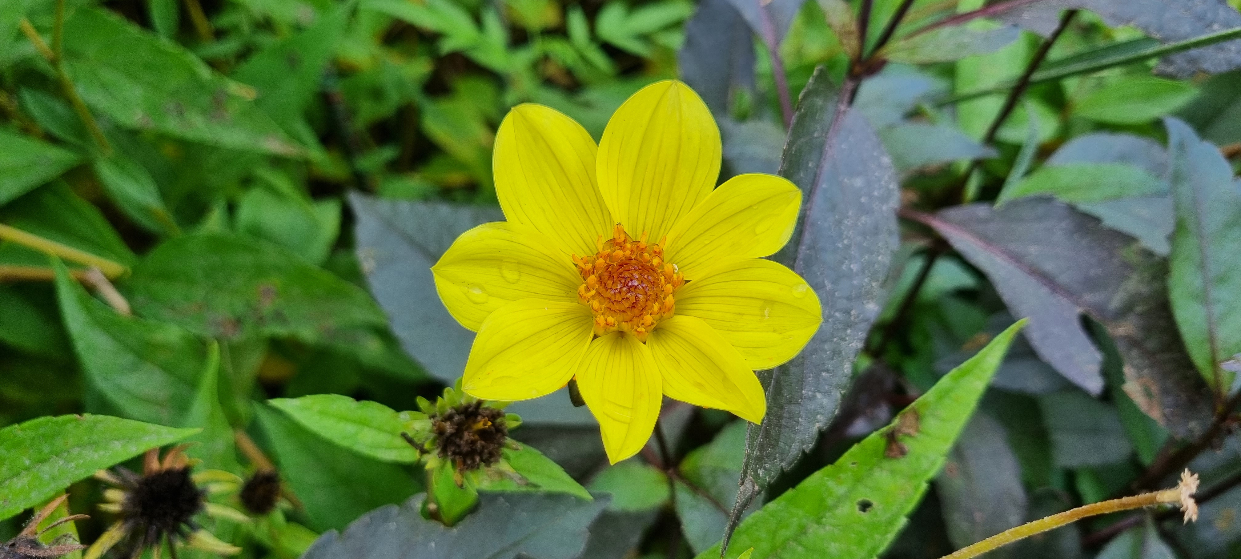 Photo n° 30 de l'avis de lemagicien40. fait le 03/11/2023 à 07:28