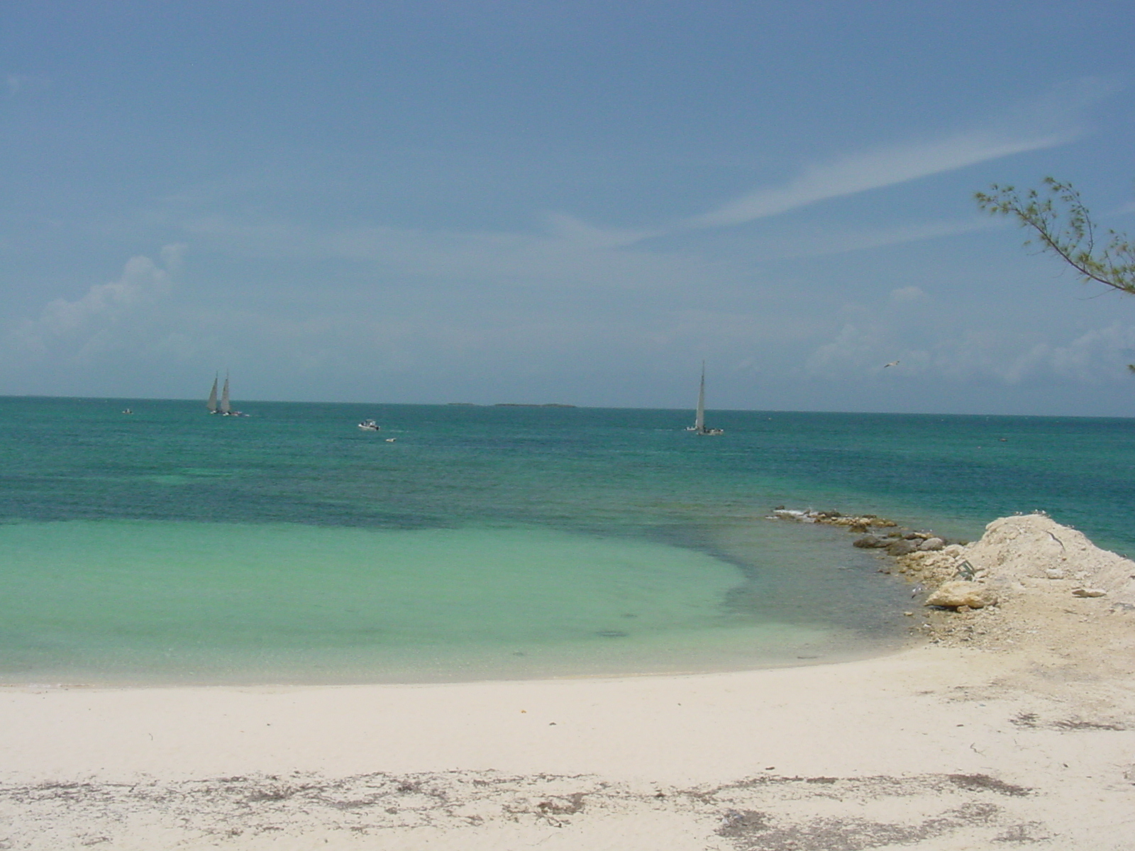 Photo de Morgan's Bluff beach et le règlement
