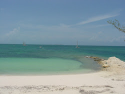 Photo de Morgan's Bluff beach et le règlement