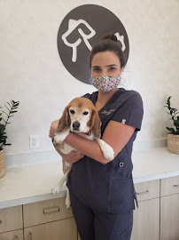 Animal Health Center of Leawood - Photo 3 - Car repair in Leawood, KS, Lee's Summit