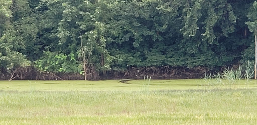 Park «Dutch Broadway Park», reviews and photos, 2161 Dutch Broadway, Elmont, NY 11003, USA