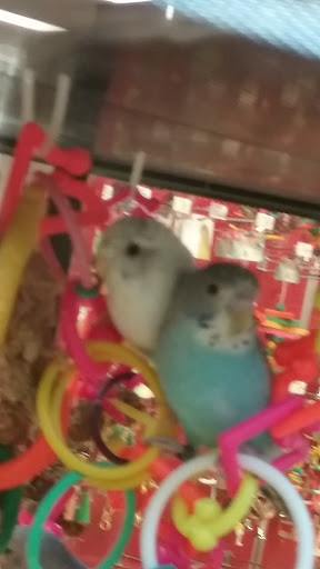 Pet Supply Store «Petco Animal Supplies», reviews and photos, 1450 Twixt Town Rd, Marion, IA 52302, USA