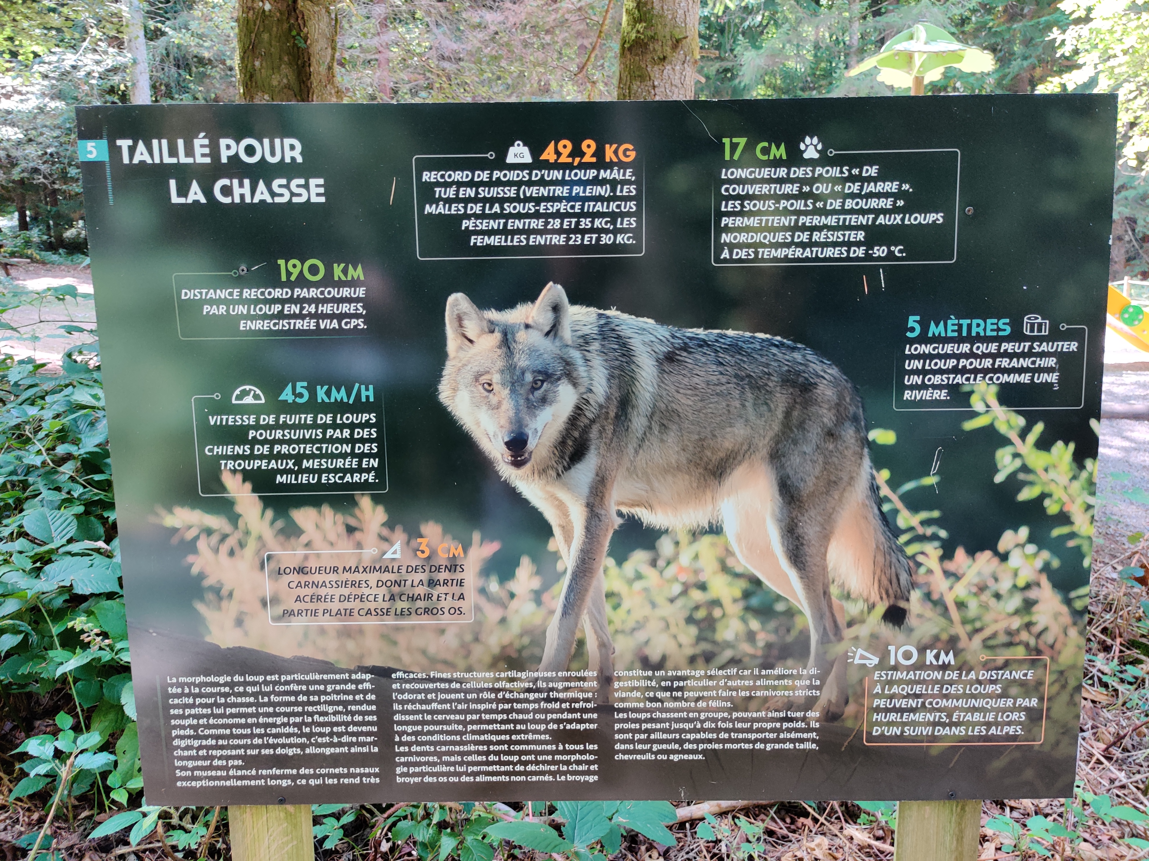 Photo n° 6 de l'avis de Julien.o fait le 14/08/2022 à 13:43