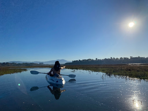 Kayak Newport Beach