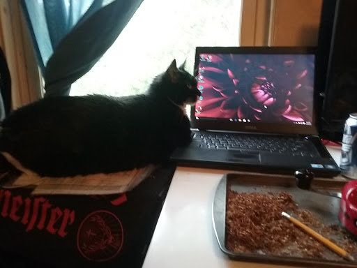 Liquor Store «M & M Discount Liquors», reviews and photos, 80 Wolcott St, Bristol, CT 06010, USA