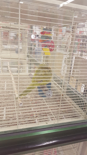 Pet Supply Store «Petco Animal Supplies», reviews and photos, 5263 Campbell Blvd, Nottingham, MD 21236, USA