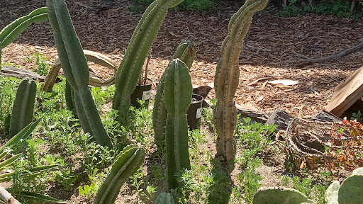 Museum «Heritage Museum of Orange County», reviews and photos, 3101 W Harvard St, Santa Ana, CA 92704, USA