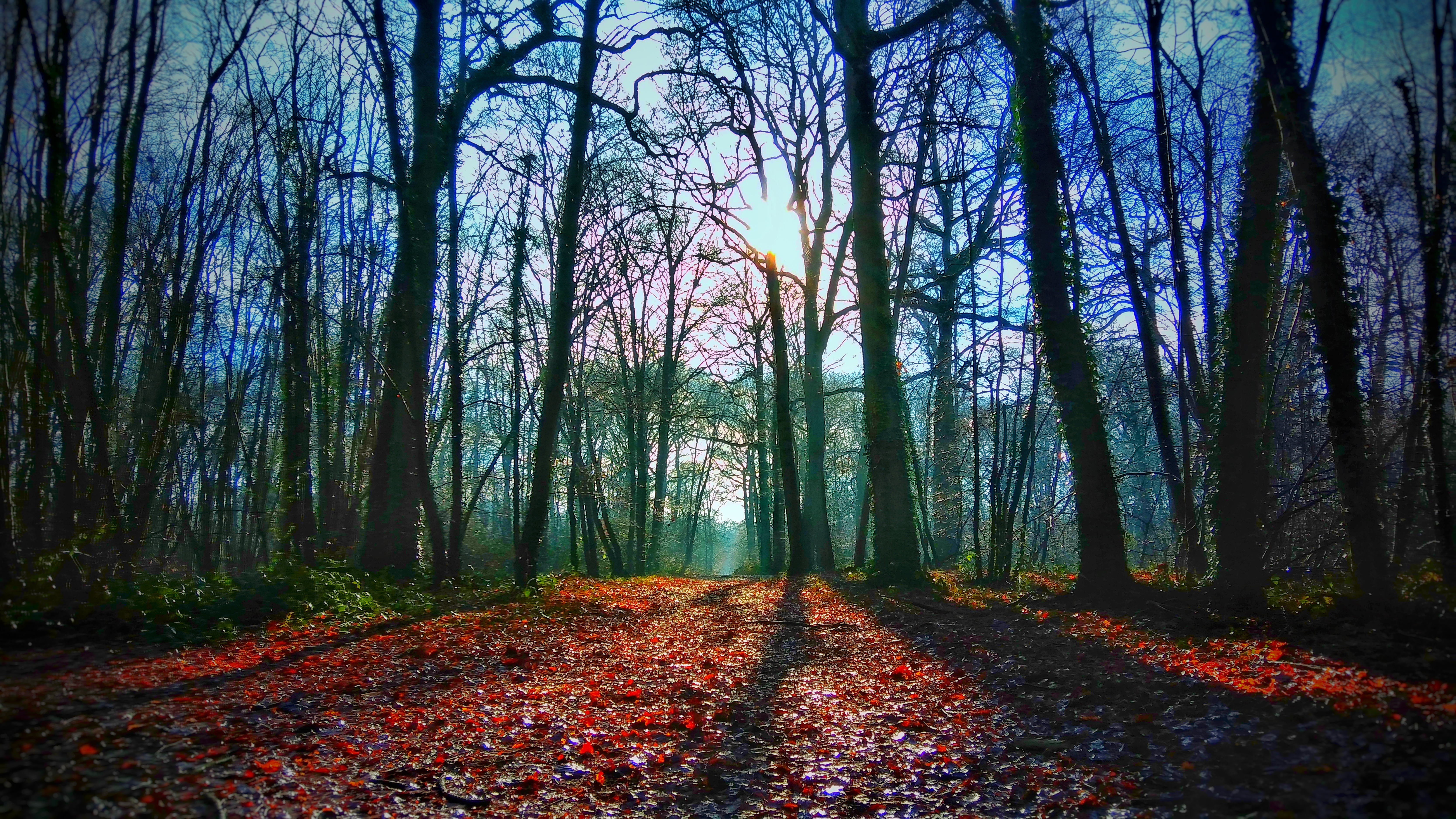 Photo n° 3 de l'avis de Ben.a fait le 19/12/2017 à 18:40