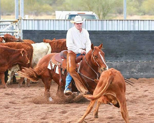 Tim Horn Cutting Horses LLC