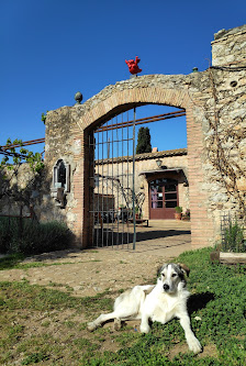 Mas del Llop Blanc - Dogfriendly B&B Barí Sobrestany, 16, 17141 Sobrestany, Girona, España