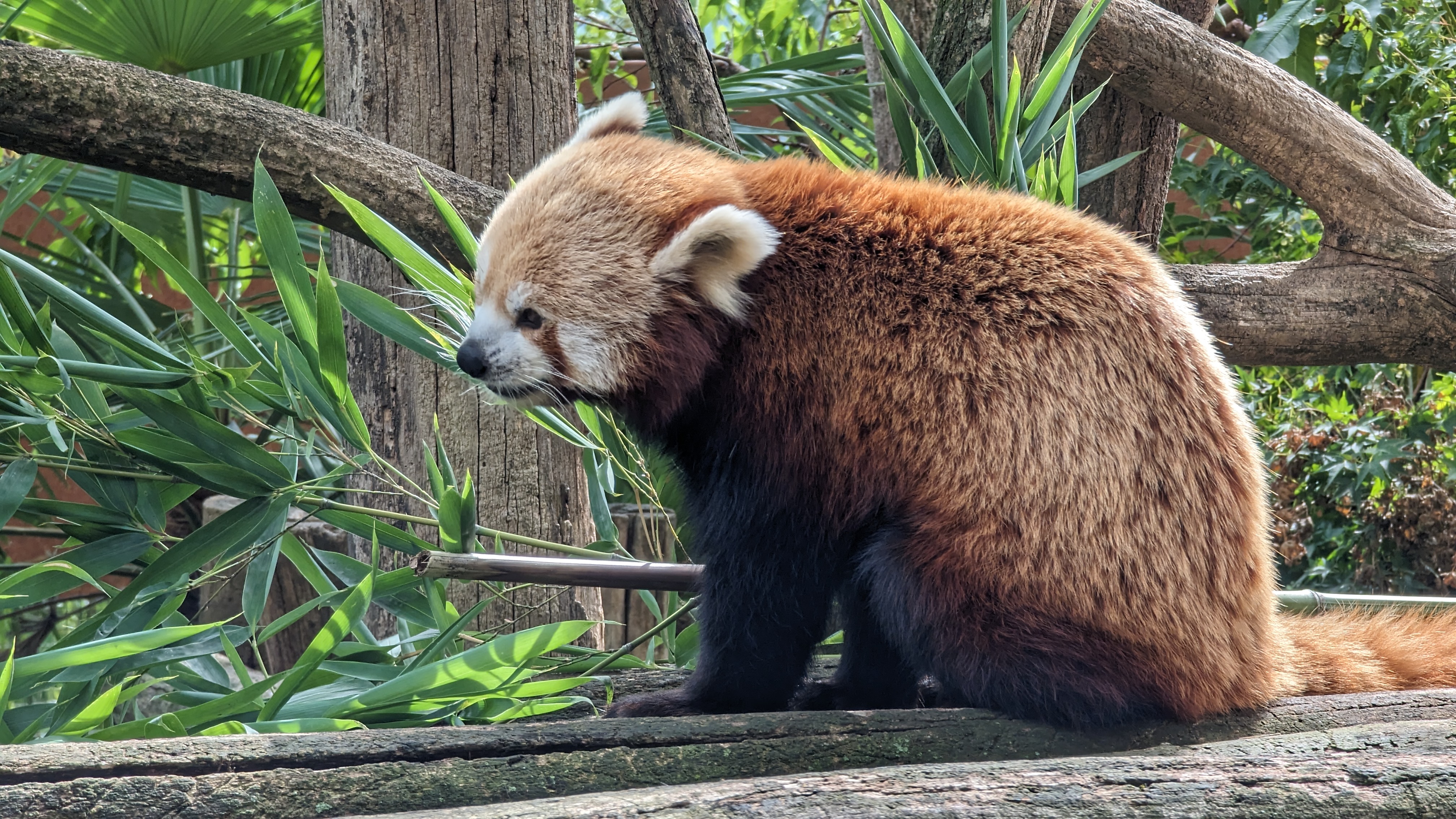 Photo n° 5 de l'avis de OruhaSue. fait le 29/09/2023 à 21:35