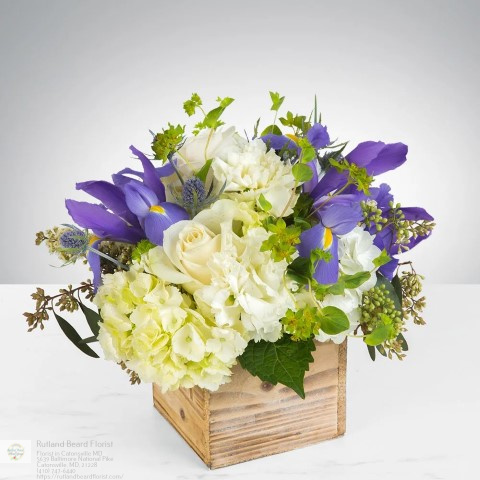 Florist «Rutland Beard Florist», reviews and photos, 5639 Baltimore National Pike, Catonsville, MD 21228, USA