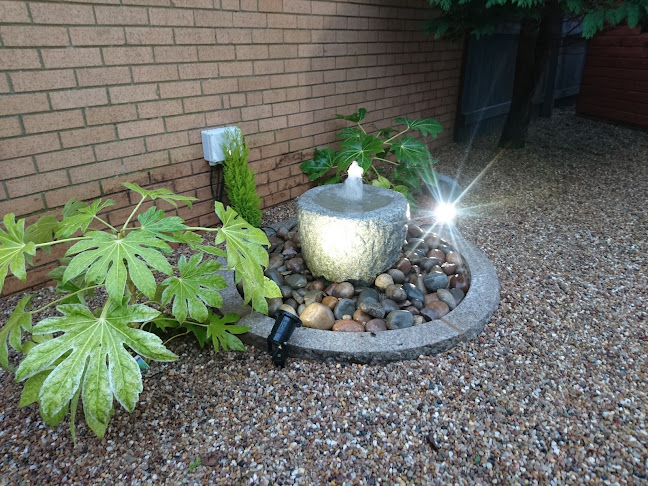 Comments and reviews of Paul Hardman Garden Services