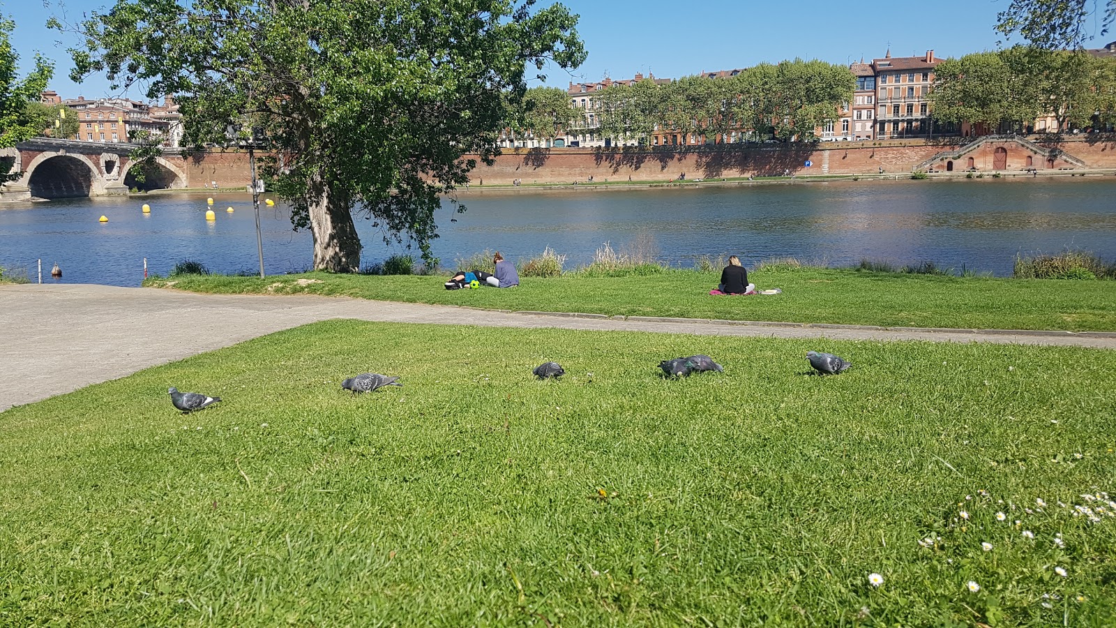 Plage Toulouse photo #7