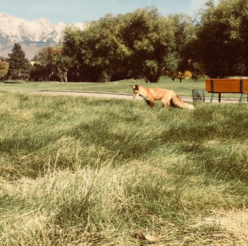 Golf Course «Fox Hollow Golf Course», reviews and photos, 1400 N 200 E, American Fork, UT 84003, USA