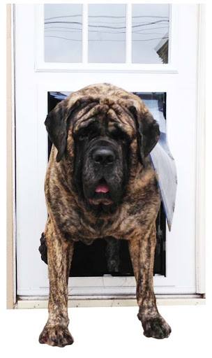 Pet Supply Store «Moore Pet Supplies», reviews and photos, 3170 Airport Dr, La Crosse, WI 54603, USA