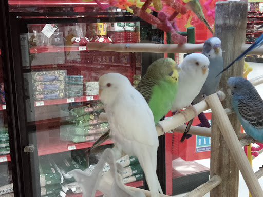 Pet Supply Store «Petco Animal Supplies», reviews and photos, 2353 SE Federal Hwy, Stuart, FL 34994, USA