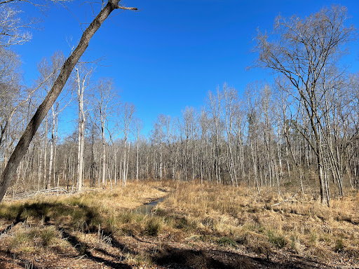 Stevens Creek Nature Preserve – Hooks Road Trail Access
