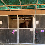 Photo n°3 de l'avis de Angela.a fait le 30/07/2022 à 14:19 sur le  Monteoro à Ameno