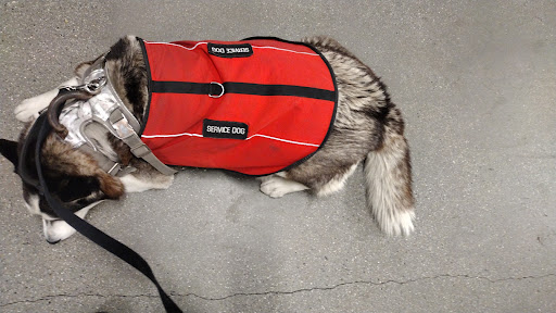 Homeless Service «The Road Home», reviews and photos