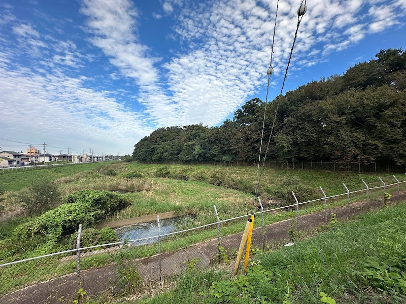 若台憩の森