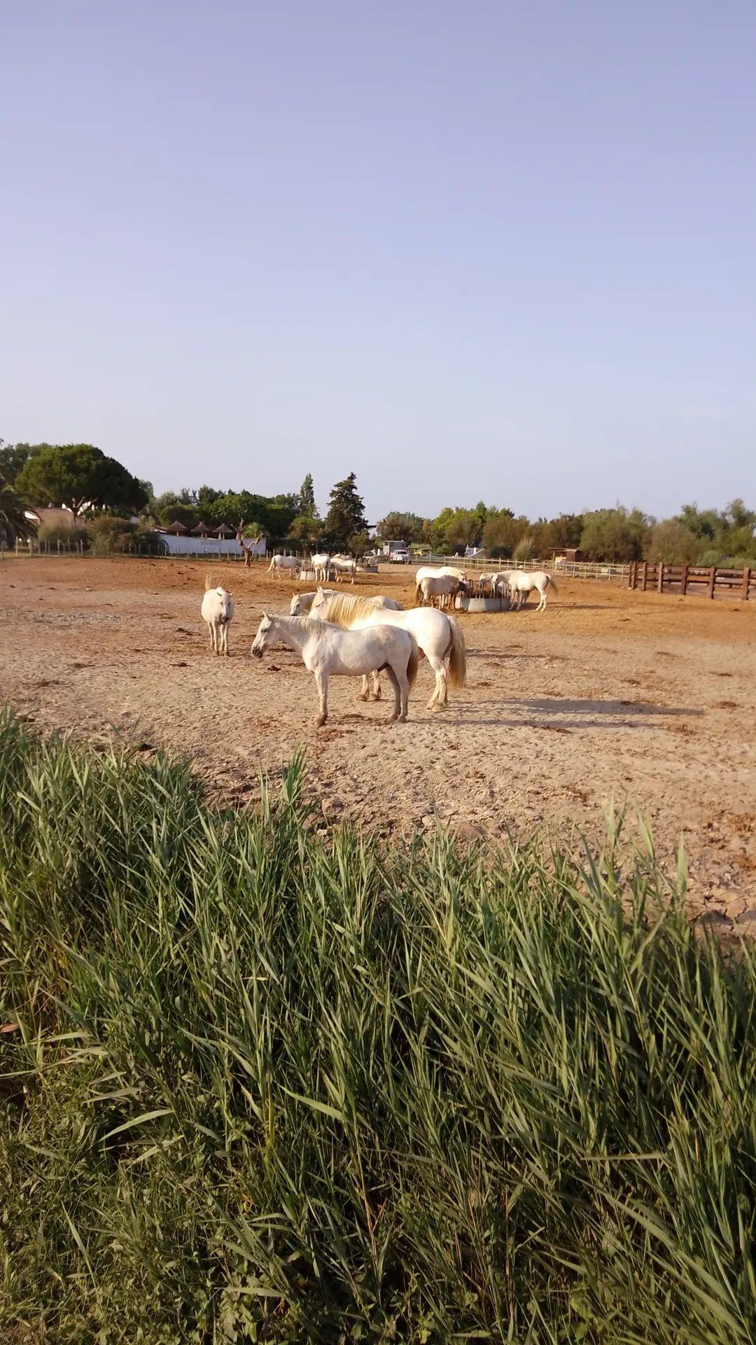 Photo n° 2 de l'avis de Theo.a fait le 01/08/2023 à 16:02