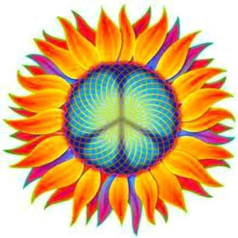 Thrift Store «Salvation Army Thrift Store», reviews and photos, 205 Tuscarora Rd, Chittenango, NY 13037, USA