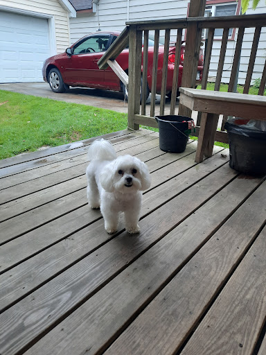 Pet Supply Store «PetSmart», reviews and photos, 279 E Fairmount Ave, Lakewood, NY 14750, USA