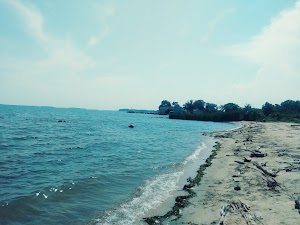 Miami Beach Park - photo 5