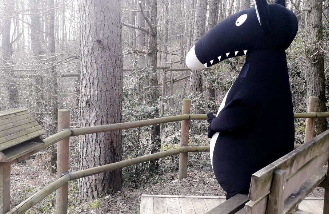 Photo n° 7 de l'avis de Lucas. fait le 29/05/2019 à 21:56