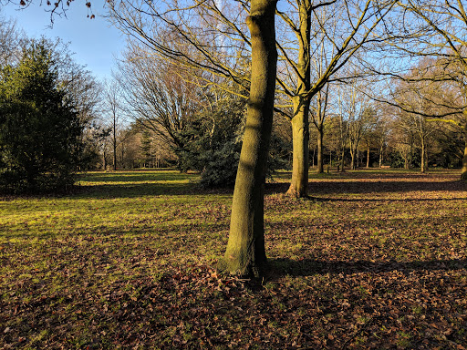 Shady Lane Arboretum Leicester
