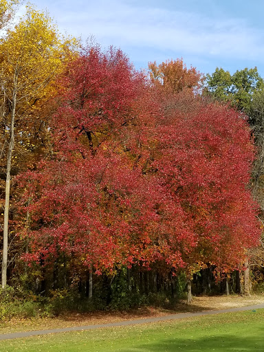 Golf Course «Greendale Golf Course», reviews and photos, 6700 Telegraph Rd, Alexandria, VA 22310, USA