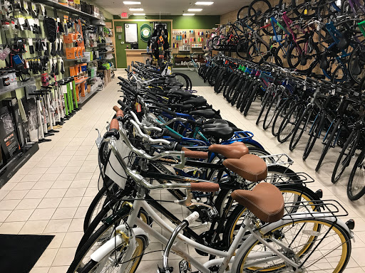 Bicycle Store «The Bicycle Store», reviews and photos, 182 Ridgedale Ave, Florham Park, NJ 07932, USA