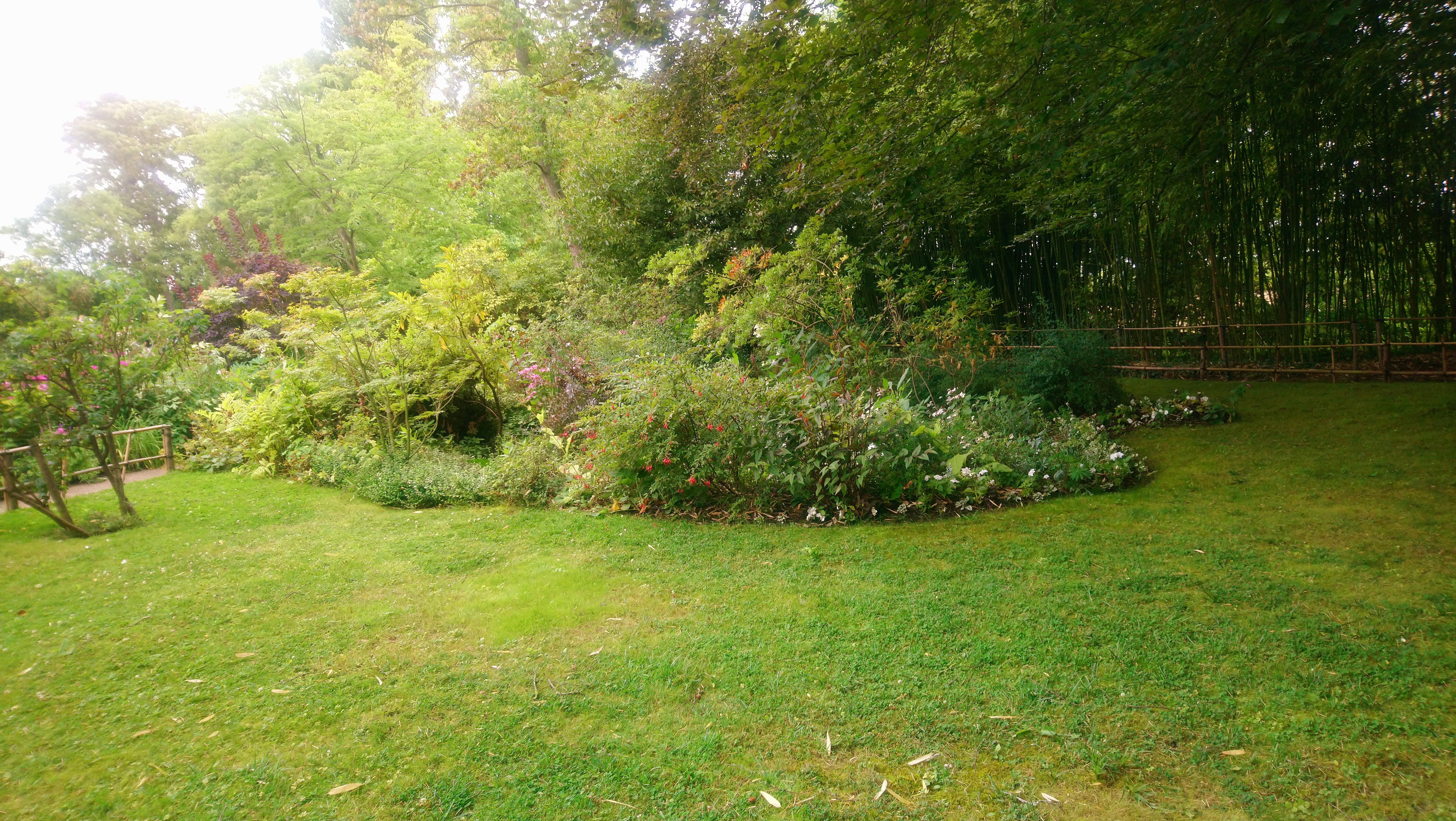 Photo n° 14 de l'avis de Angèle.K fait le 03/08/2020 à 11:24