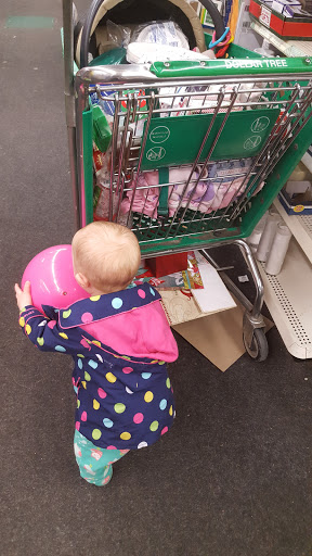 Dollar Store «Dollar Tree», reviews and photos, 4350 Central Ave NE, Columbia Heights, MN 55421, USA