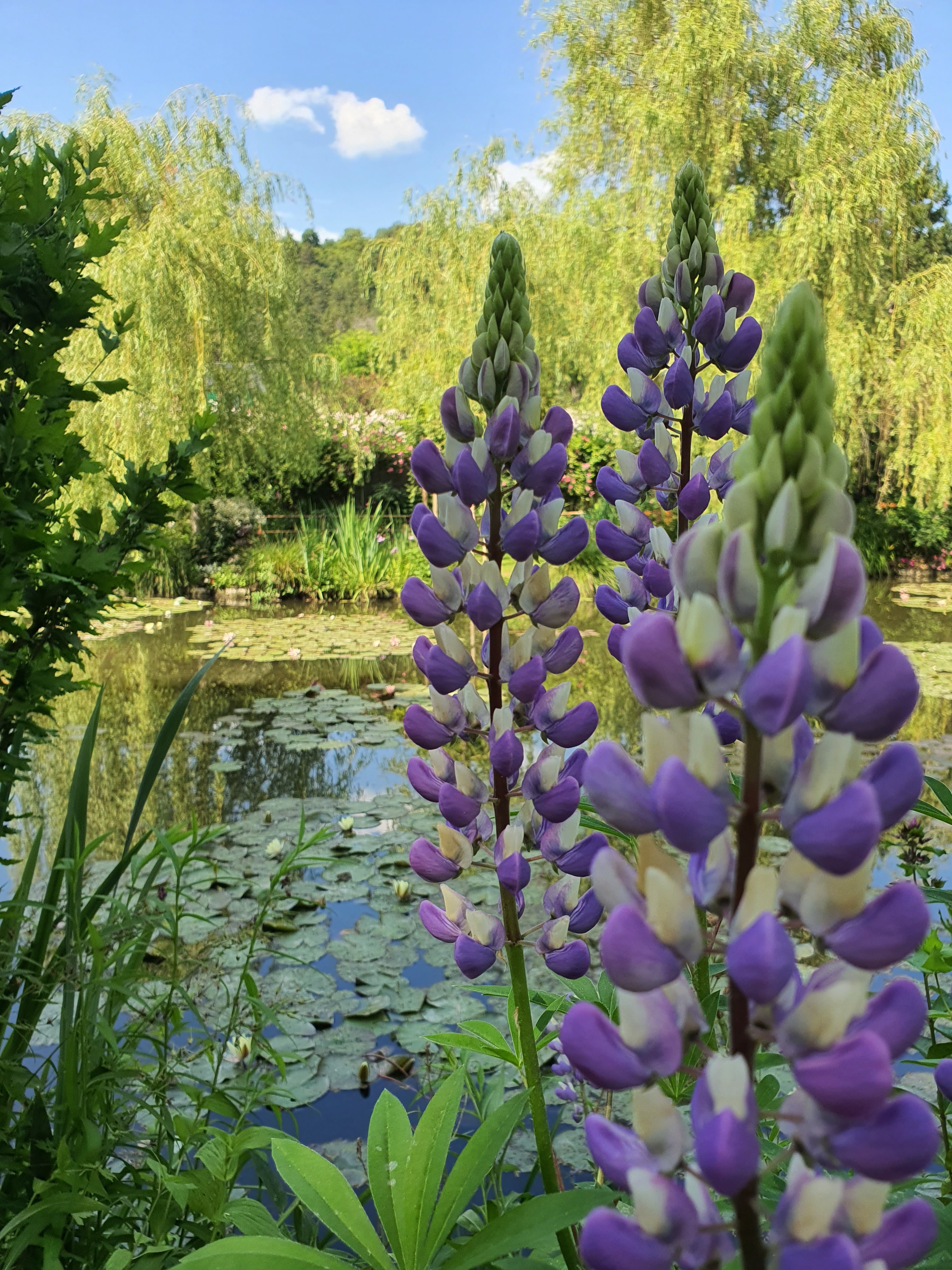 Photo n° 6 de l'avis de Chimene.a fait le 18/06/2021 à 22:36