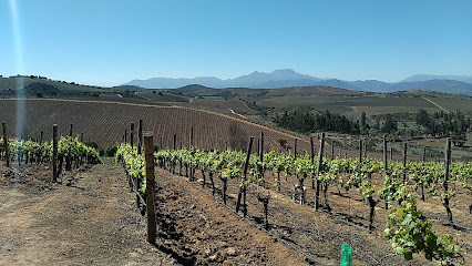 Viña Errazuriz Quillota