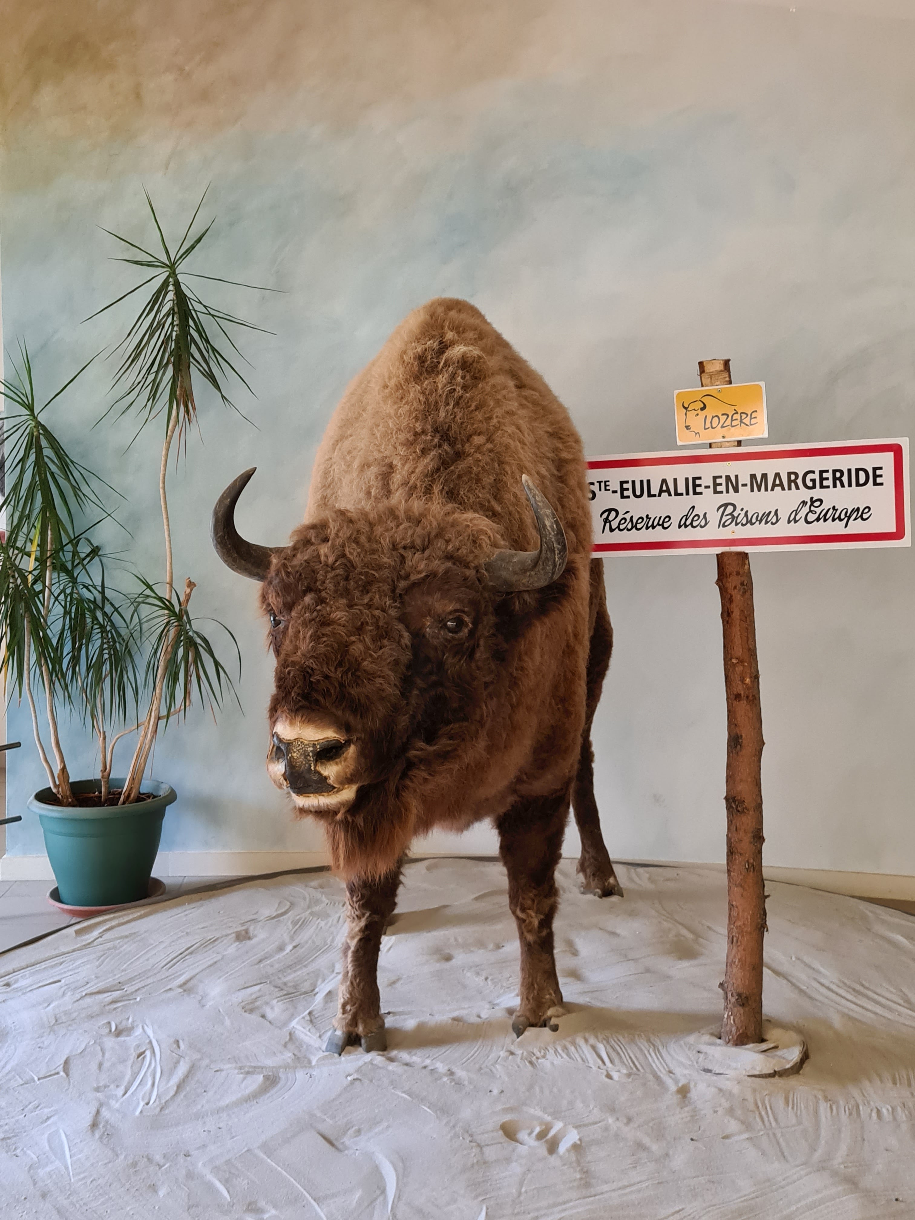 Photo n° 1 de l'avis de Christelle. fait le 28/08/2020 à 18:19