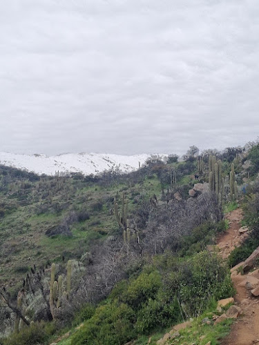 https://asociacionparquecordillera.cl/