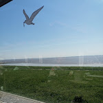 Photo n°5 de l'avis de Dino.a fait le 01/05/2024 à 15:48 sur le  Beckmanns Strandhalle Brunsbüttel à Brunsbüttel