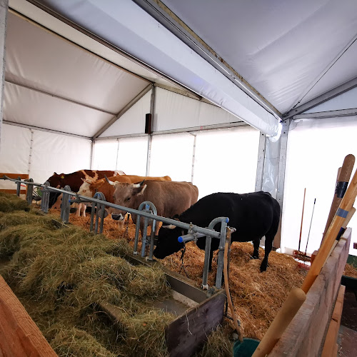 Foire du Valais - Kulturzentrum