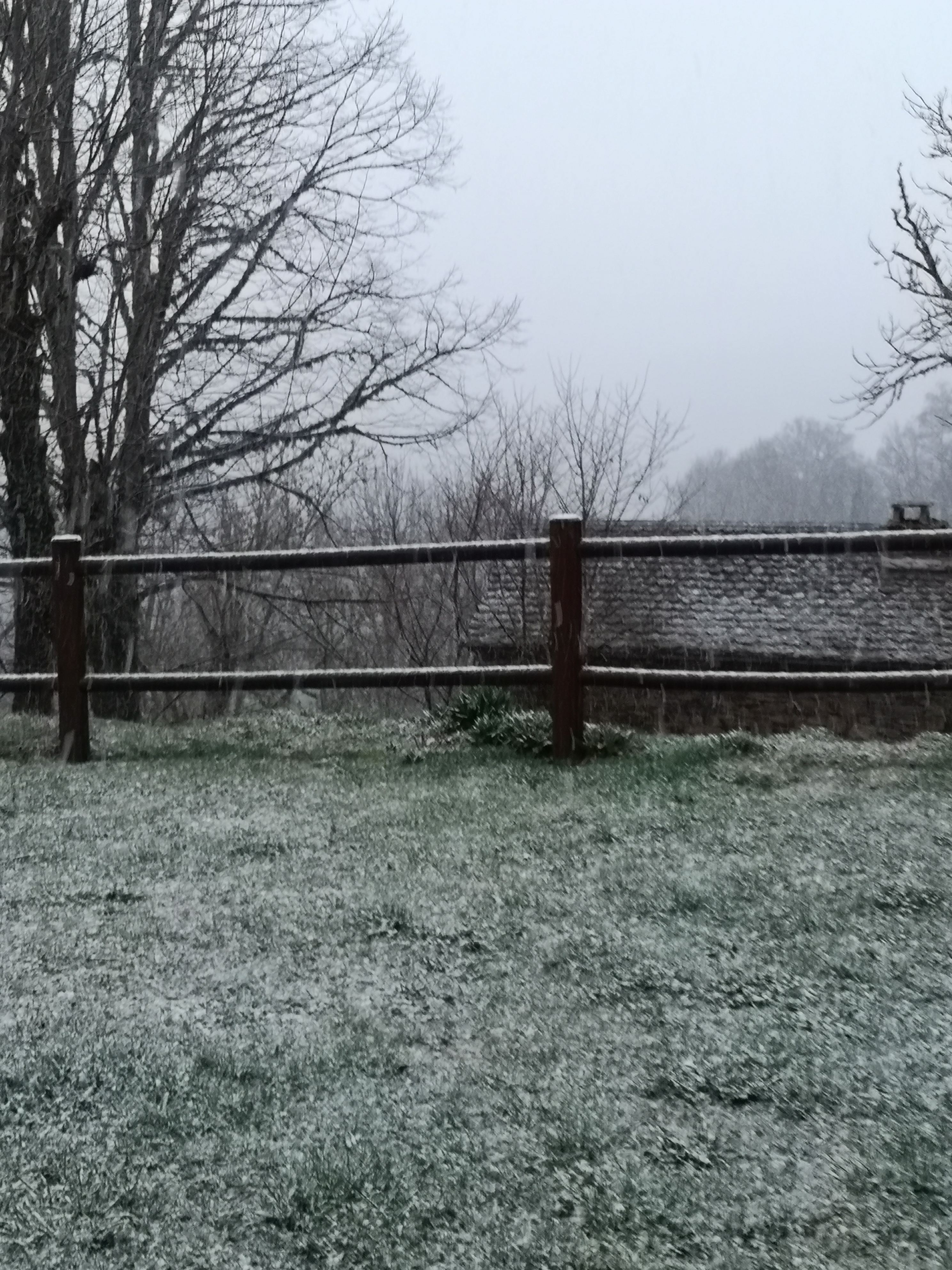 Photo n° 4 de l'avis de Veronique.h fait le 09/04/2019 à 03:29