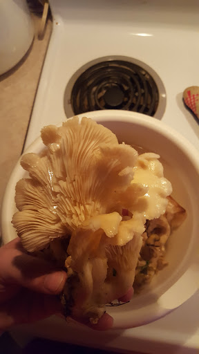 Discount Store «Dollar General», reviews and photos, 633 E Lincolnway, Morrison, IL 61270, USA