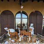 Photo n°1 de l'avis de Chiara.e fait le 25/01/2024 à 18:43 sur le  Agriturismo La Camilla à Concorezzo