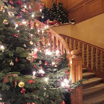 Photo n°5 de l'avis de Venus.i fait le 09/12/2019 à 10:20 sur le  re.vita - naturresort & spa à Bad Lauterberg