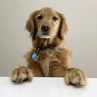 Roofing Contractor «BRAX Roofing», reviews and photos, 200 Girard St #209, Gaithersburg, MD 20877, USA