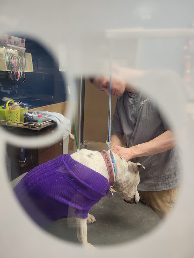 Pet Supply Store «PetSmart», reviews and photos, 2920 Little Rd, Trinity, FL 34655, USA