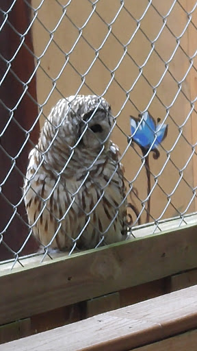 Park «Potomac Overlook Regional Park», reviews and photos, 2845 Marcey Rd, Arlington, VA 22207, USA