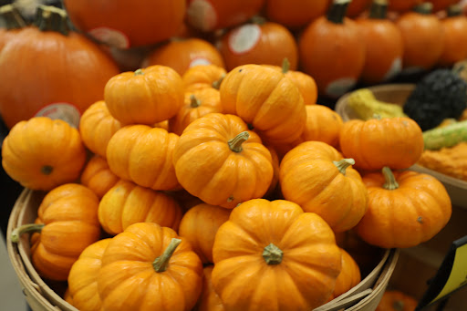 Grocery Store «Food Lion», reviews and photos, 304 S Broadway, Portland, TN 37148, USA