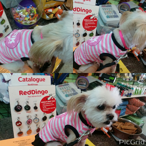 Tropical Fish Store «Caribbean Pets», reviews and photos, 298 Central Ave, Jersey City, NJ 07307, USA